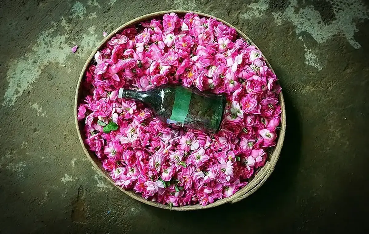 نشانههای گلاب اصل