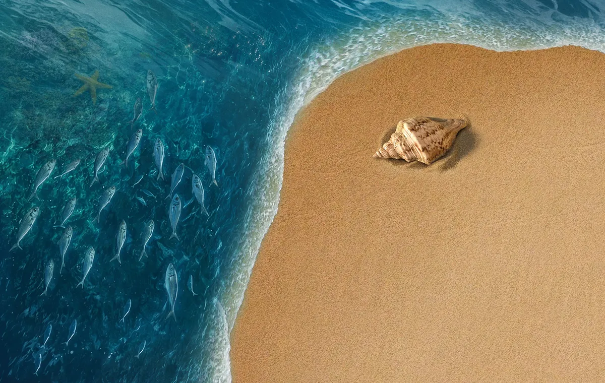 شکست فیلم موانا