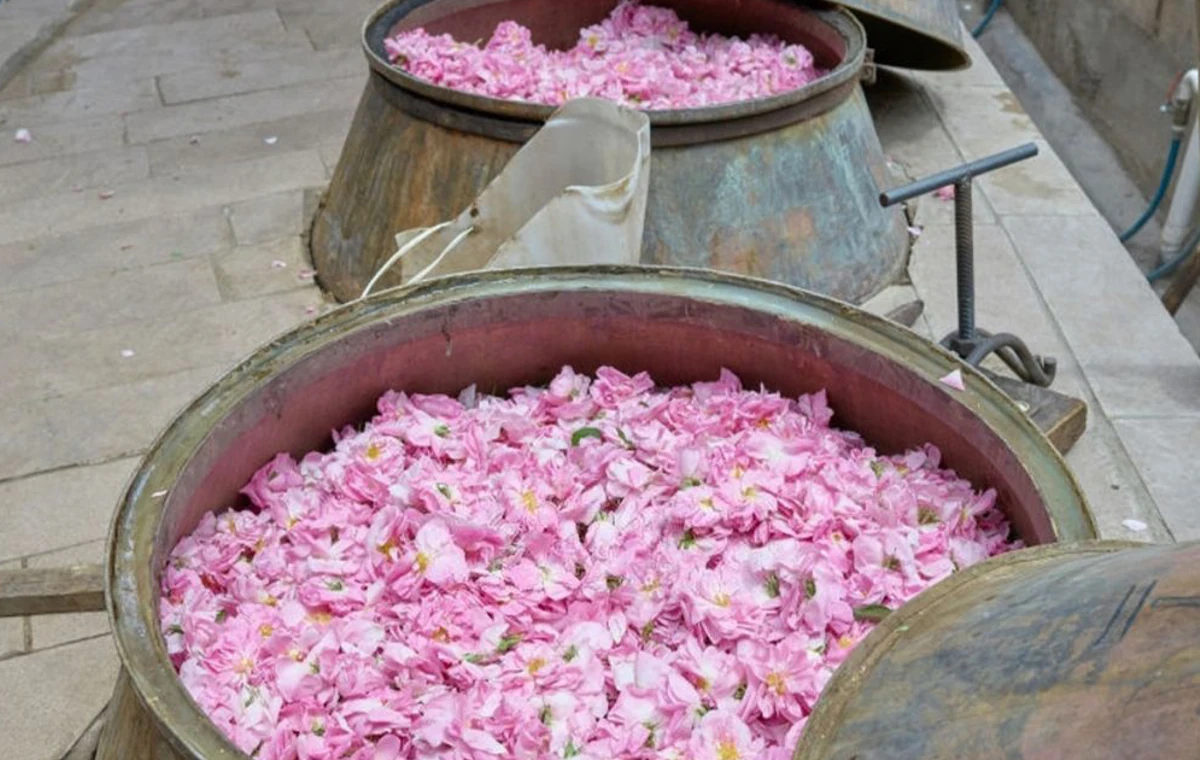 گلاب و عرقیات کاشان