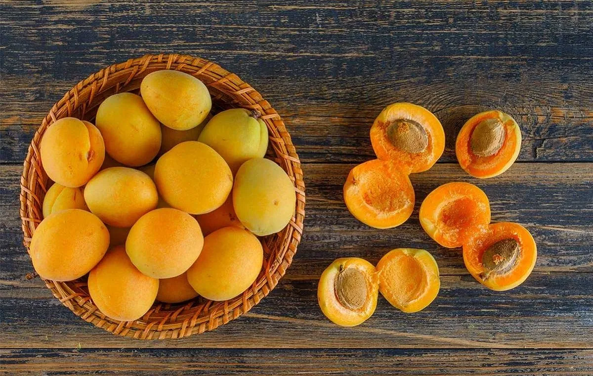 ابزار و مواد لازم برای تهیه کمپوت زردآلو، آموزش مرحله به مرحله پخت، روش شیشهای با ماندگاری بالا، نسخه فوری در قابلمه و نکات مهم برای خوشمزهتر شدن و نگهداری درست را در این مطلب میخوانید