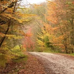 جاهای دیدنی گرگان
