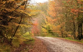جاهای دیدنی گرگان