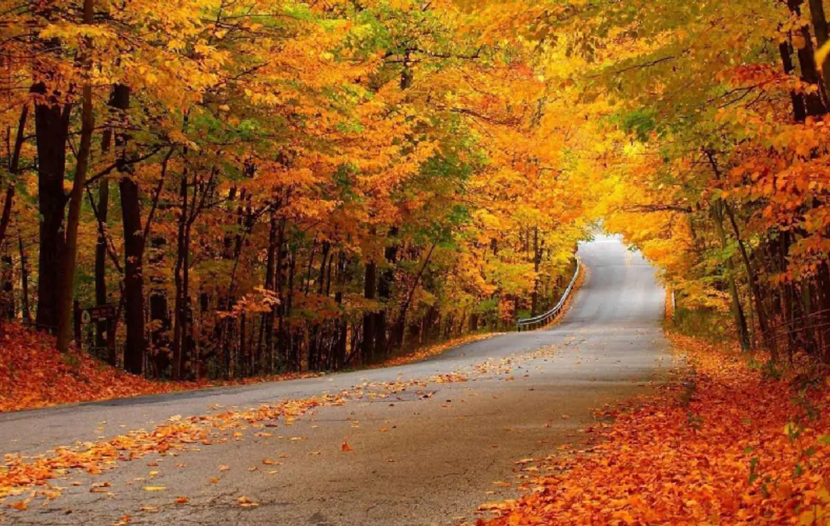 جاهای دیدنی گرگان