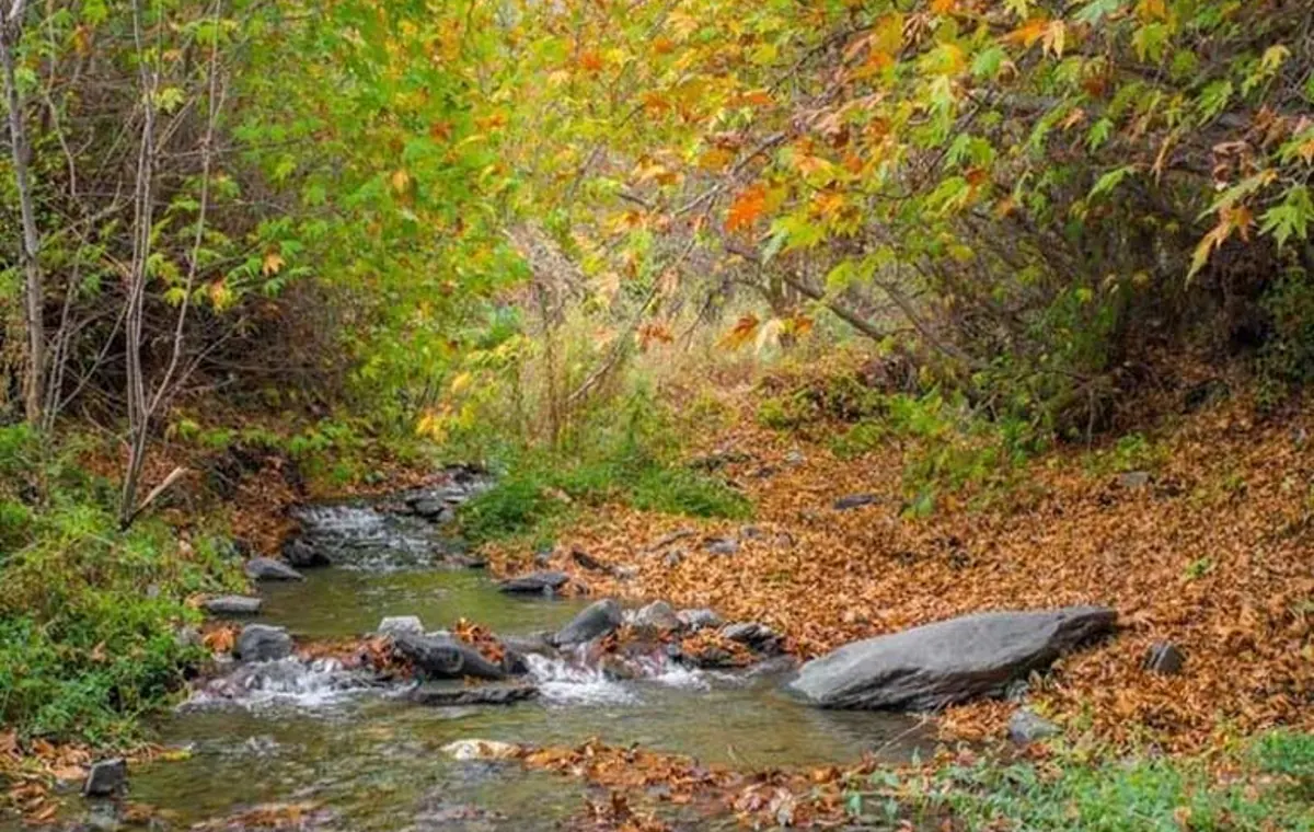 شاندیز مشهد کجاست؟ آدرس و مسیر دسترسی