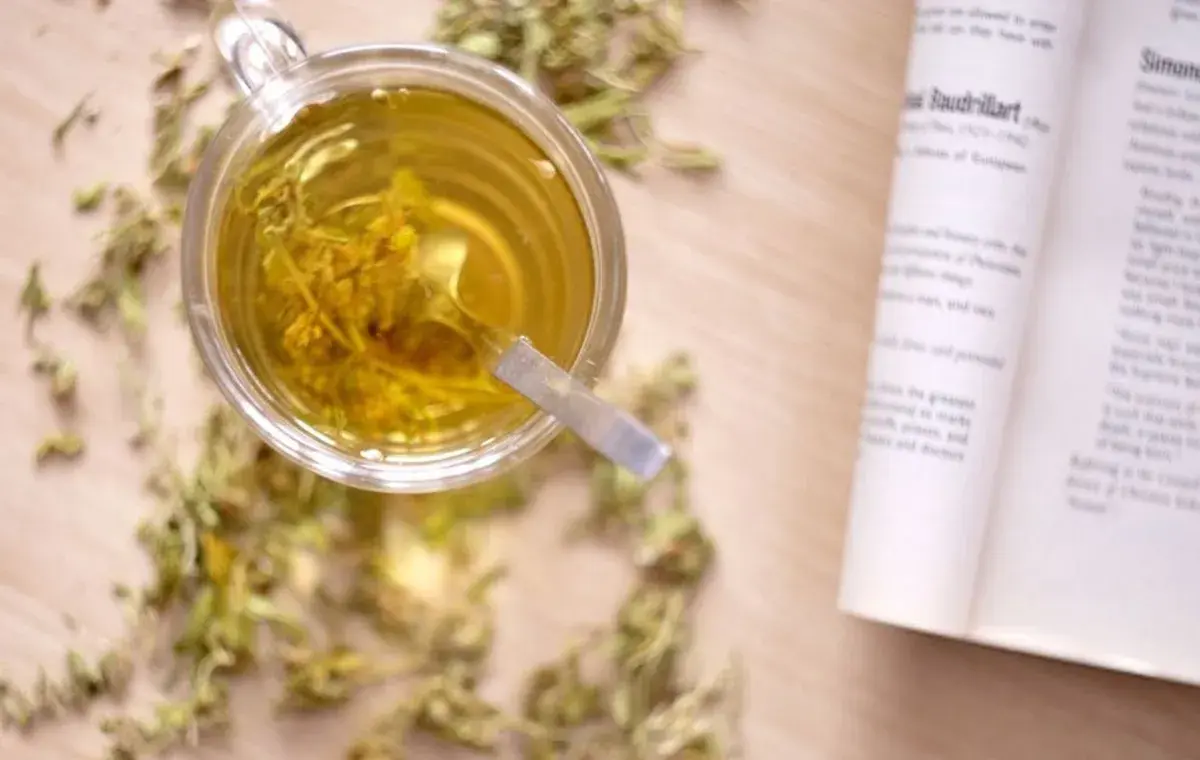 خواص خارخاسک برای زنان و روش صحیح مصرف آن